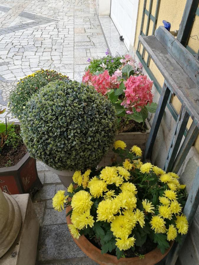 Le Studio Chez Marile Bry-sur-Marne Εξωτερικό φωτογραφία